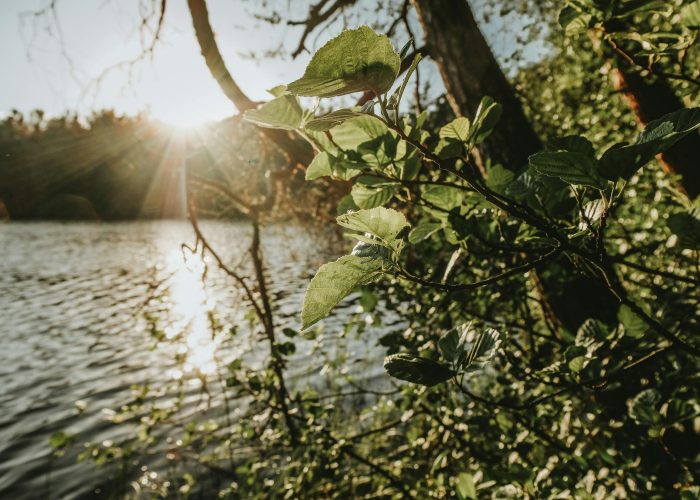 pexels-nordrii-8198052 (1)